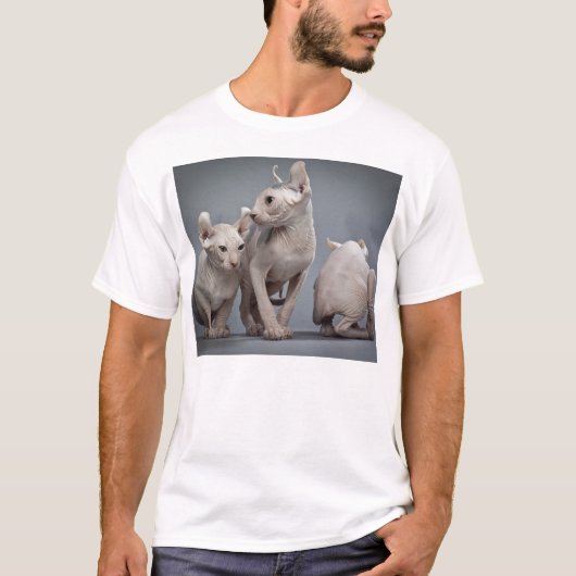 Drei unbehaarte Katzen T-Shirt (Vorderseite)