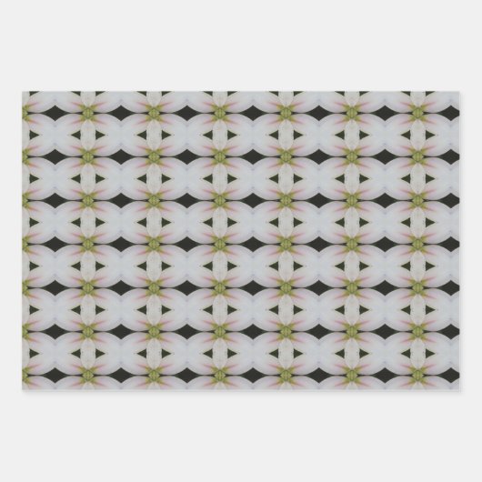 Drei unterschiedliche Designs Geschenkpapier Set (Vorderseite)