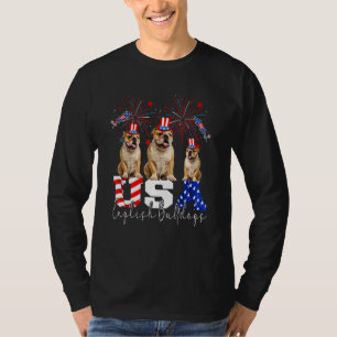Drei USA-Bullterrier mit Hut in der amerikanischen T-Shirt