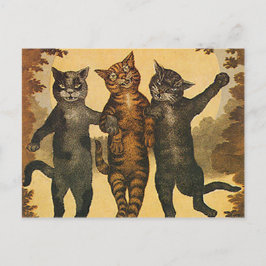 Drei verrückte gemeine Katzen Vintage Illustration Postkarte