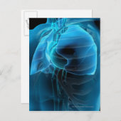 Drei viertel Ansicht von Herz und Lunge Postkarte (Vorne/Hinten)