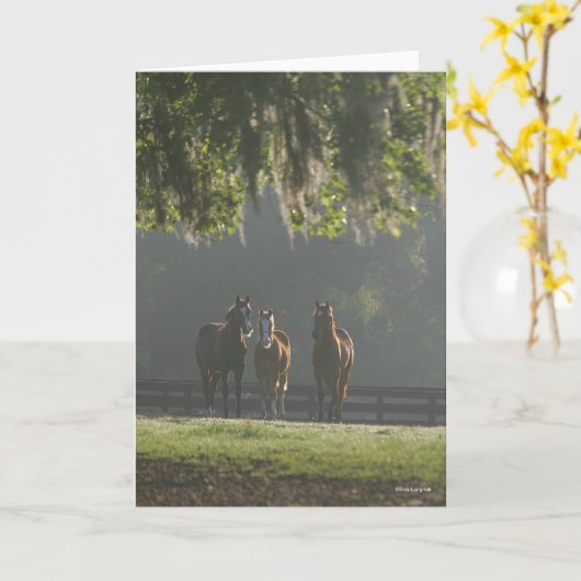 Drei Viertelpferde Stehend in der Nebel Karte (Gelbe Blume)