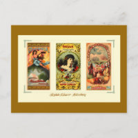 Drei Vintage Cigar Labels Virginia
