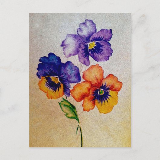 Drei Vintage Pansy-Blume farbige Stifte Postkarte (Vorderseite)