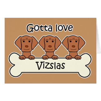 Drei Vizslas
