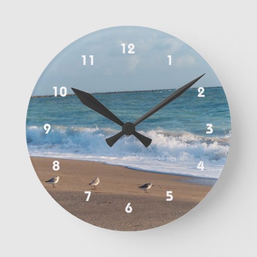 drei Vögel am Strand Foto Florida Runde Wanduhr (Vorderseite)