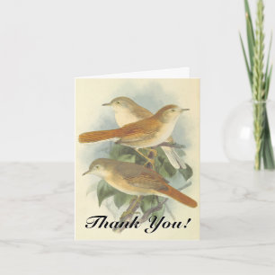 Drei Vögel auf einem Ast, "Danke!" Karte