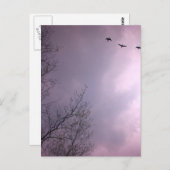 Drei Vögel fliegen so hoch Postkarte (Vorne/Hinten)