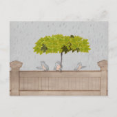 Drei Vögel im Regen Postkarte (Vorderseite)