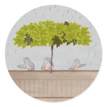 Drei Vögel im Regen