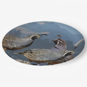 DREI WACHTELN UND SHASTA PAPPTELLER (Schrägansicht)