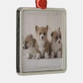 Drei Waliser Corgi Ornament Aus Metall (Rechts)