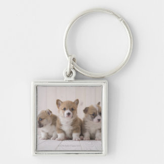 Drei Waliser Corgi Schlüsselanhänger