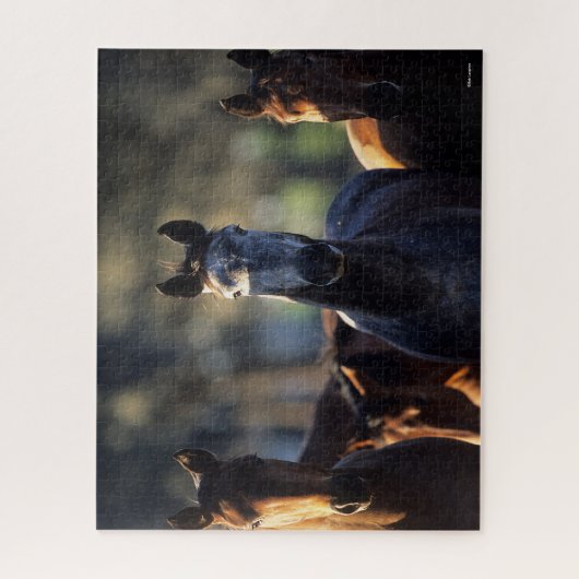 Drei Warmblüten, Stehend hintergrundbeleuchtet Puzzle (Vertikal)