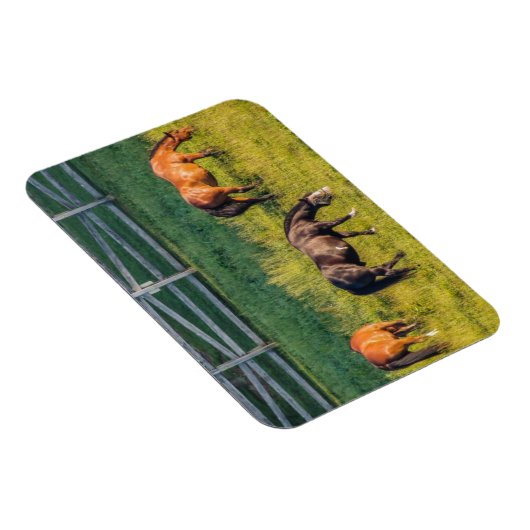 Drei Weiden Magnet (Rechte Seite)