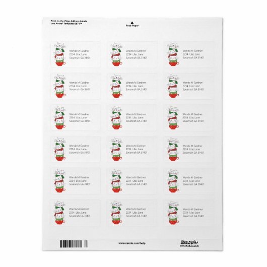 Drei Weihnachtskatzen im Cup, rote grüne Skarabäen Adressaufkleber (Vorne)