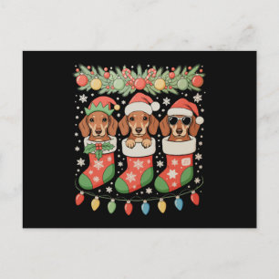 Drei Weihnachtsmann-Elf-Dachshund-Weihnachtsstrümp Feiertagspostkarte