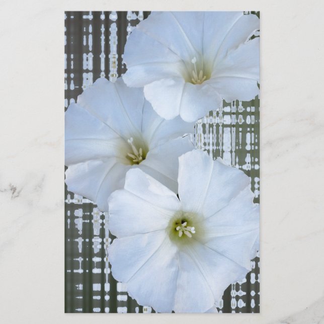 drei weiße Blume (Vorderseite)