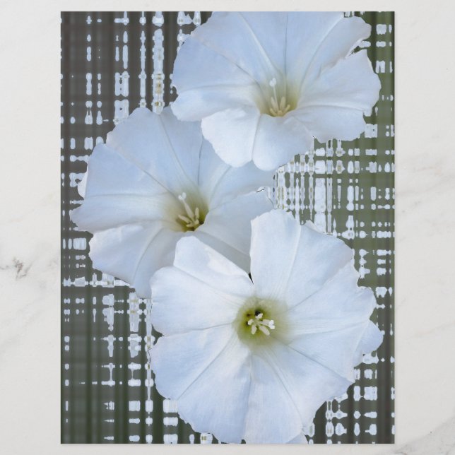 drei weiße Blume (Vorderseite)