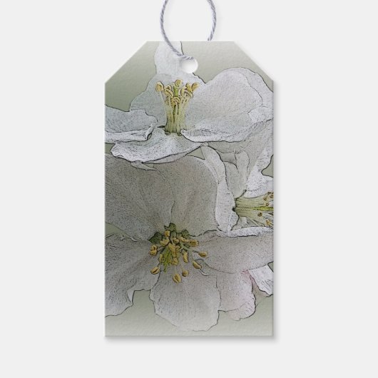 drei weiße Blume Geschenkanhänger (Vorderseite)