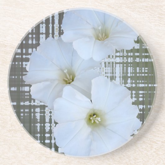 drei weiße Blume Getränkeuntersetzer (Vorne)