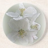 drei weiße Blume Getränkeuntersetzer (Vorne)