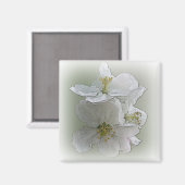drei weiße Blume Magnet (Vorderseite/Rückseite)