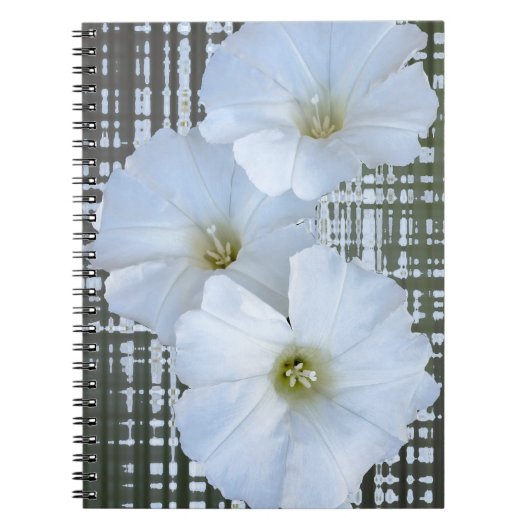 drei weiße Blume Notizblock (Vorderseite)