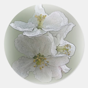 drei weiße Blume Runder Aufkleber