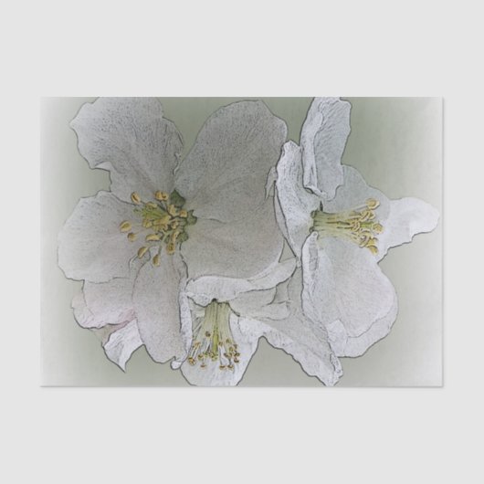 drei weiße Blume Seidenpapier (Vorderseite)