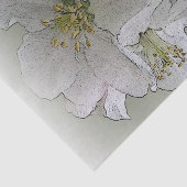 drei weiße Blume Seidenpapier (Ausschnitt)