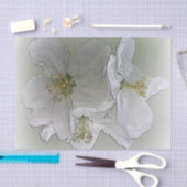 drei weiße Blume Seidenpapier (Handwerk)