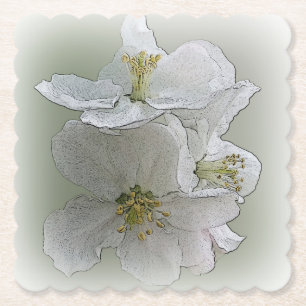 drei weiße Blume Untersetzer