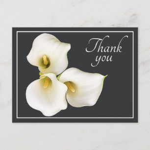 Drei weiße Calla Lilies grauer Hintergrund Danke Postkarte