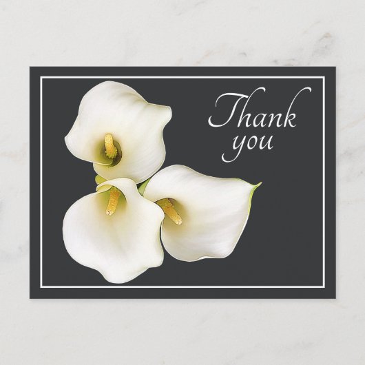 Drei weiße Calla Lilies grauer Hintergrund Danke Postkarte (Vorderseite)