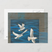 Drei weiße Möwen, die über Wasser fliegen Postkarte (Vorne/Hinten)