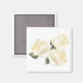 Drei weiße Rosen Magnet (Vorderseite/Rückseite)