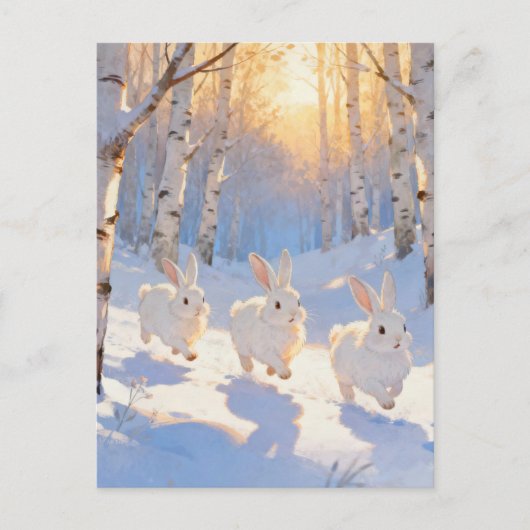 Drei weiße Winterkaninchen Postkarte (Vorderseite)