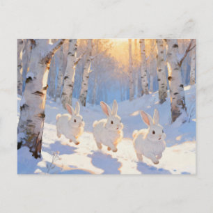 Drei weiße Winterkaninchen Postkarte