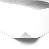 Drei weiße Wölfe Fotodruck (Ecke)