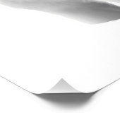 Drei weiße Wölfe Poster (Ecke)