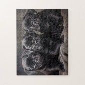 Drei Welpen mit schwarzem Mops Puzzle (Vertikal)