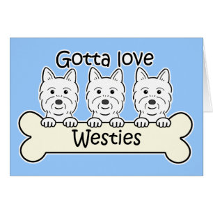 Drei Westies