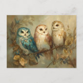 Drei Whimsical Owls auf einer Zweigniederlassung Postkarte (Vorderseite)