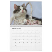 Drei wilde Kätzchen Kalender (Feb 2027)