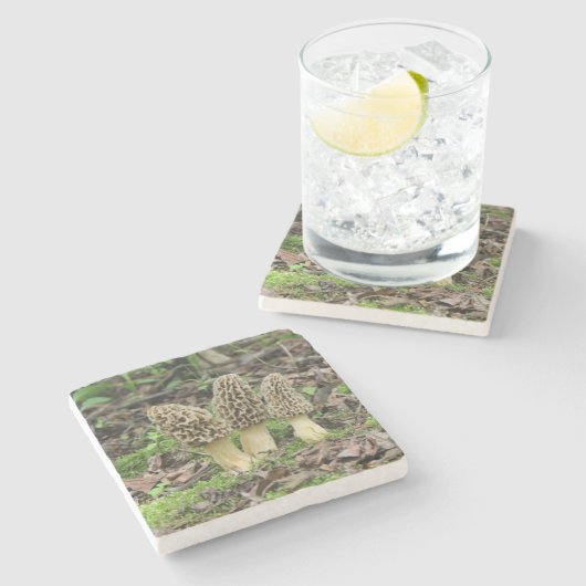 Drei wilde Morchelpilze im Holz Steinuntersetzer (Seitenansicht)