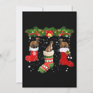 Drei Windhund-Hunde im Socken-Weihnachtsmann Feiertagskarte
