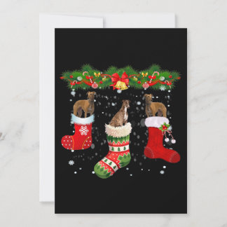 Drei Windhund-Hunde im Socken-Weihnachtsmann Feiertagskarte