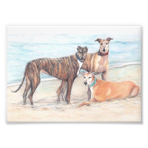 Drei Windhund-Hundekunst Phoo Druck