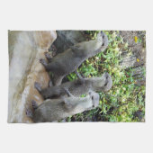 Drei Wischtücher, Teetücher Geschirrtuch (Horizontal)